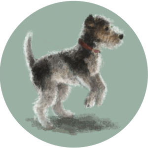 ElspethRose shop logo
