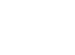 Lisa Sundin shop logo