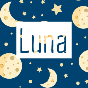 lunavo shop logo