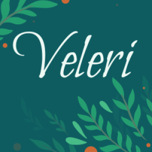Valeriya shop logo