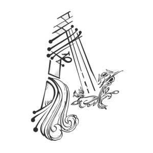 Ahkneeus shop logo