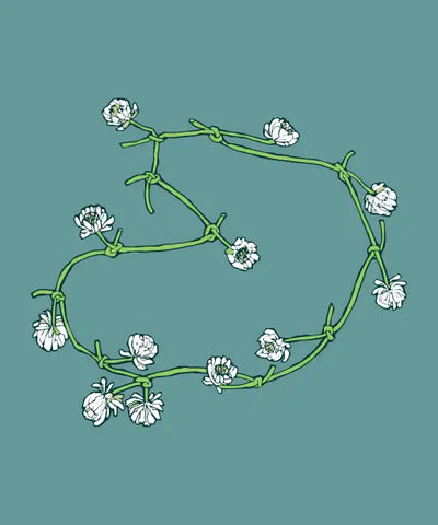 Daisy Chain