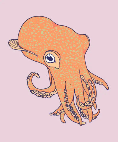 Squid