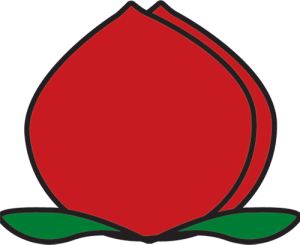 Brian shop logo