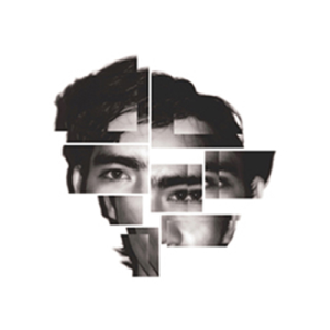 DavidBS shop logo