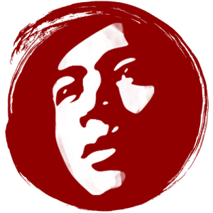 dzeri29 shop logo