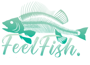feelfish shop logo