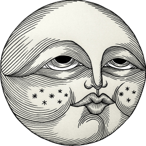 Lolle shop logo