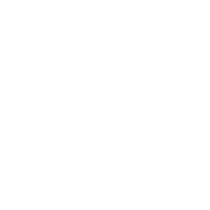 Luke Wisner shop logo