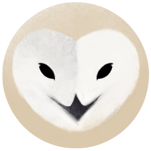 Sash-kash shop logo