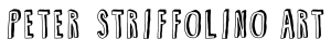 Peter Striffolino shop logo