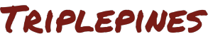 Anne shop logo