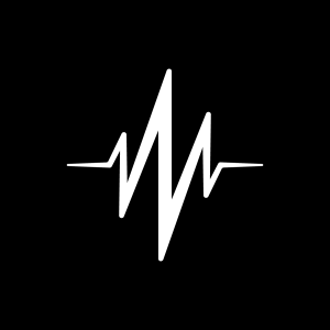 VIKTOR HERTZ shop logo