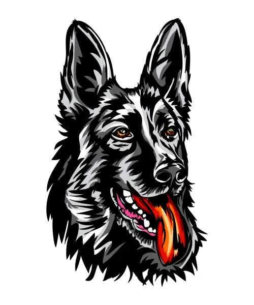 German shepherd