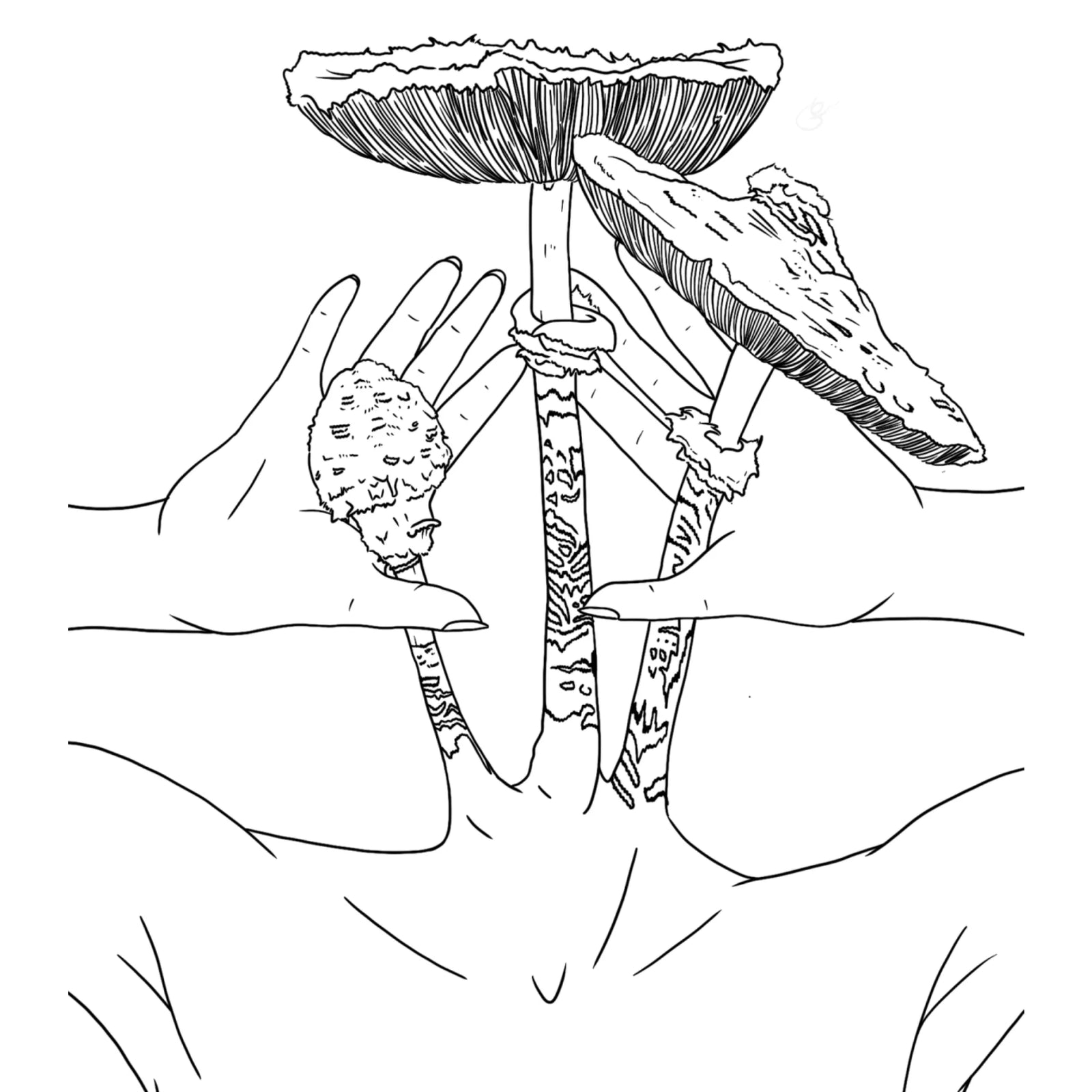 Parasol