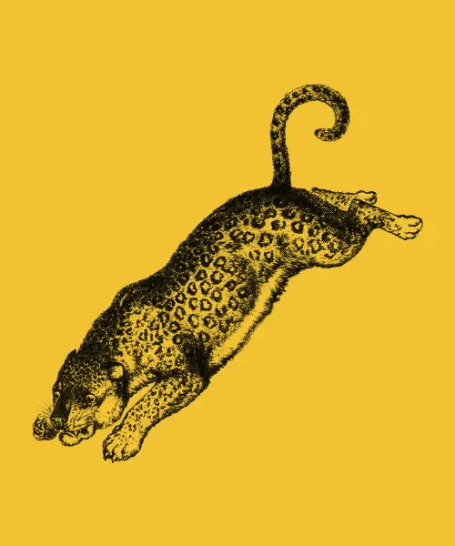 Leopard II