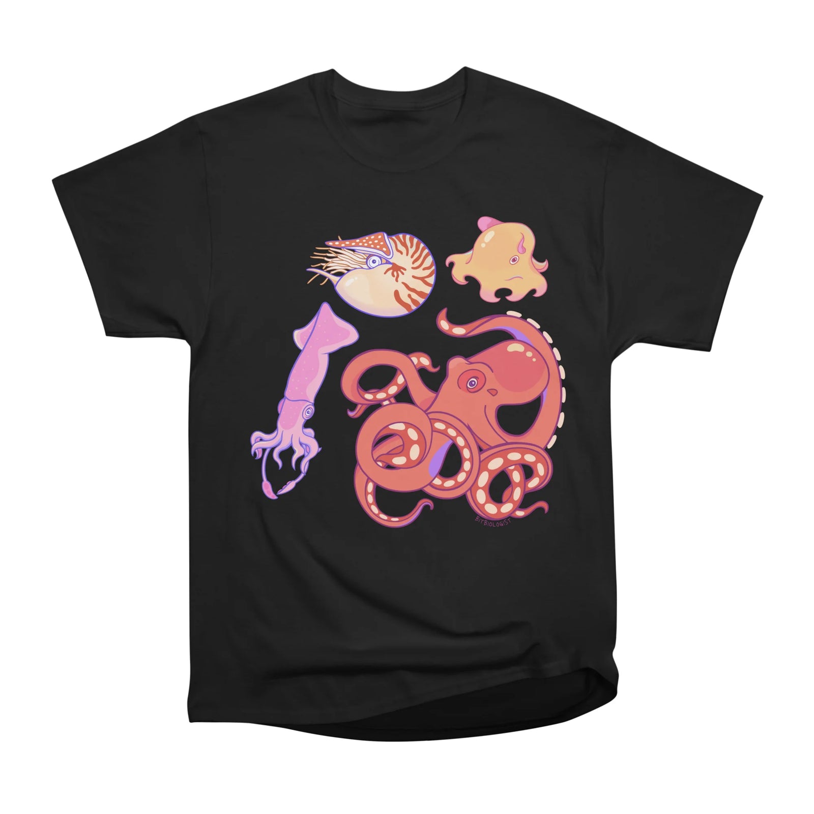 Cephalopods