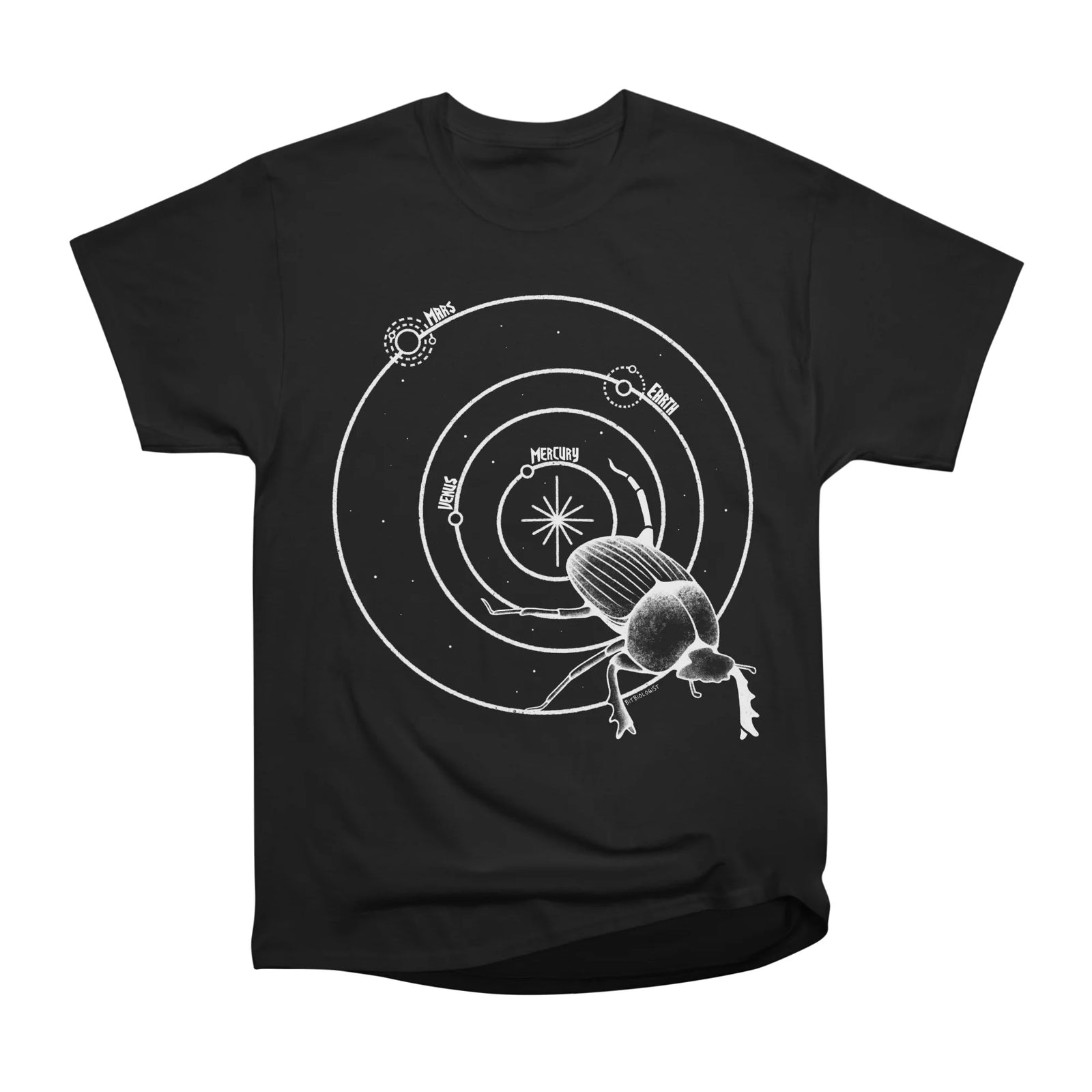 Dung Beetle Orbit