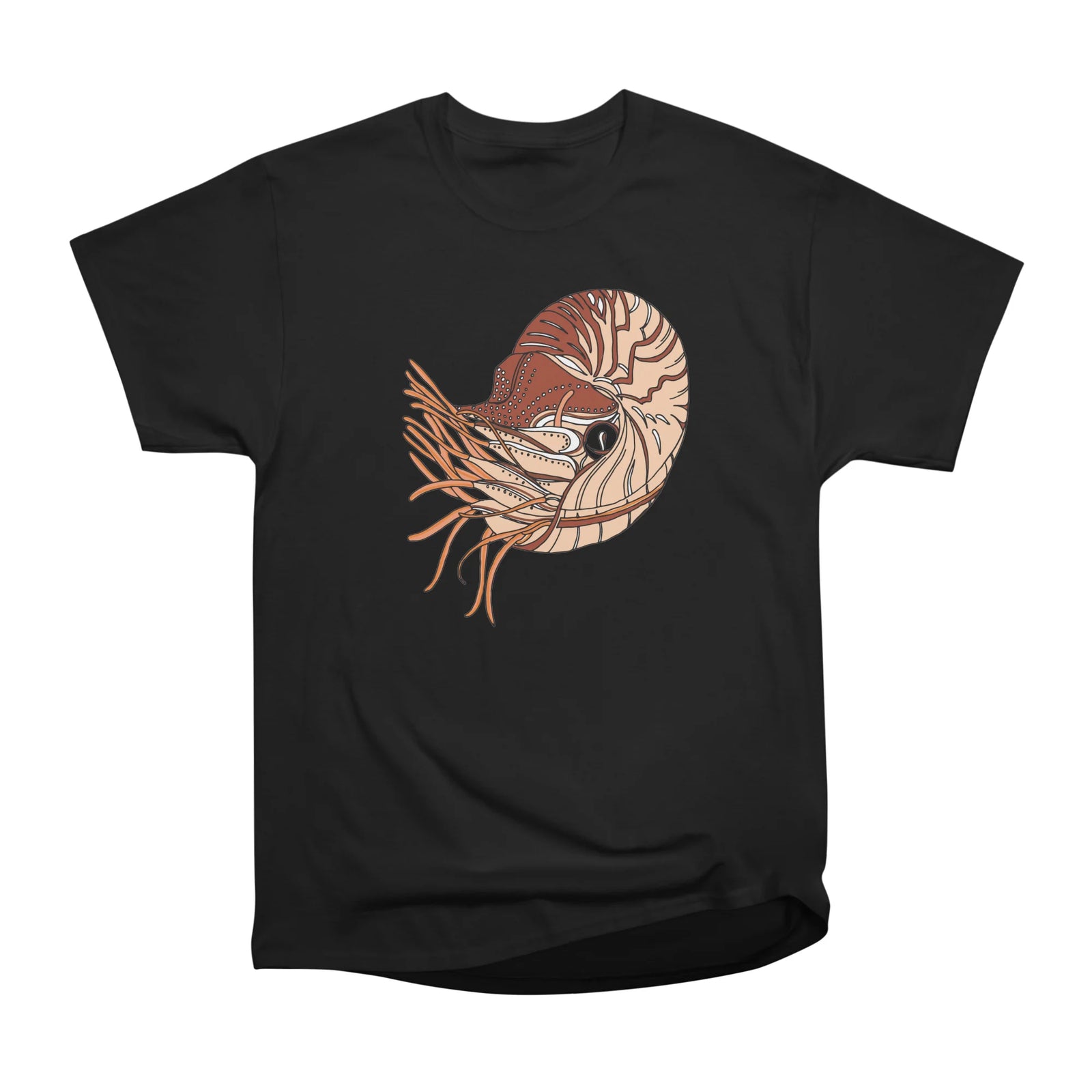 Nautilus