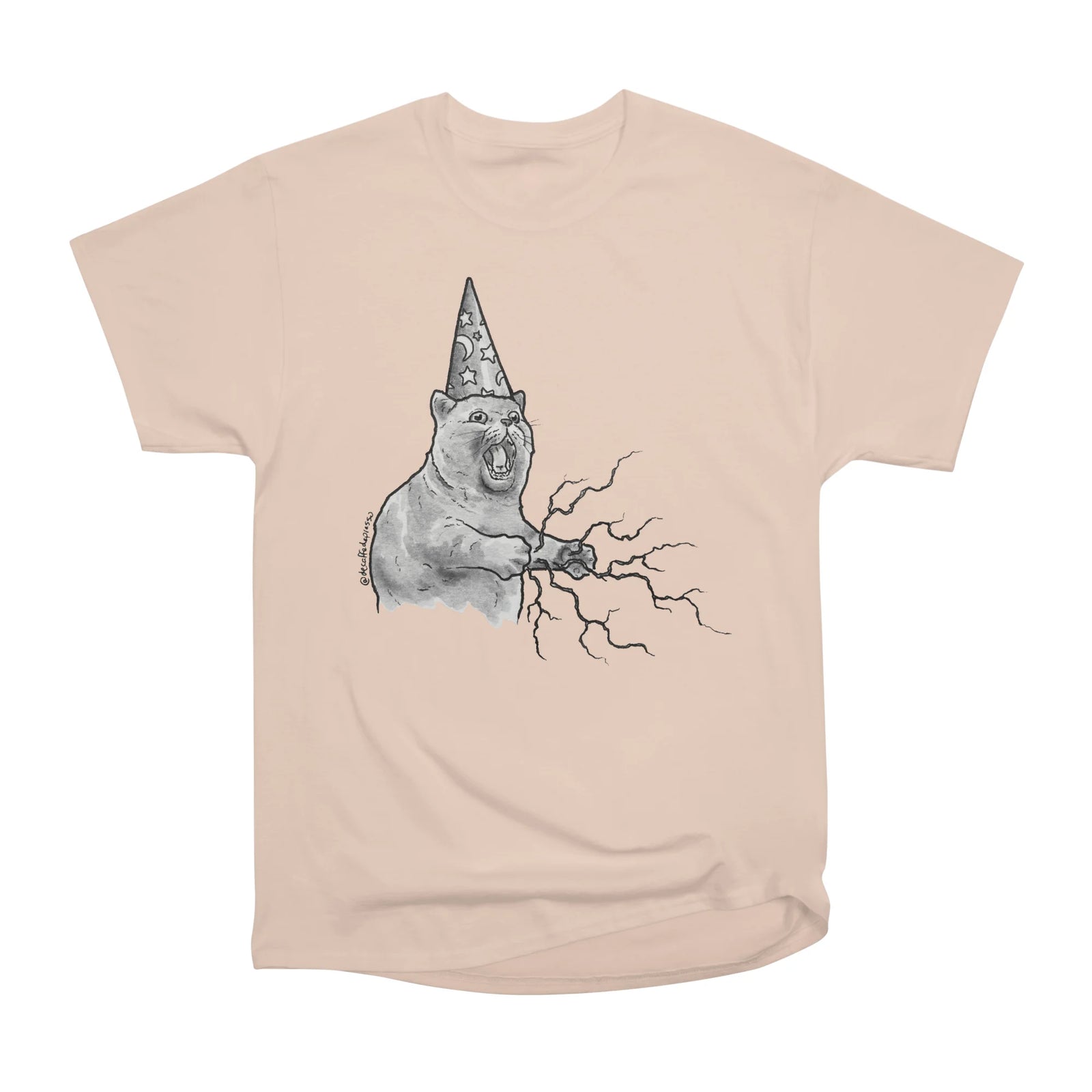 Wizard cat