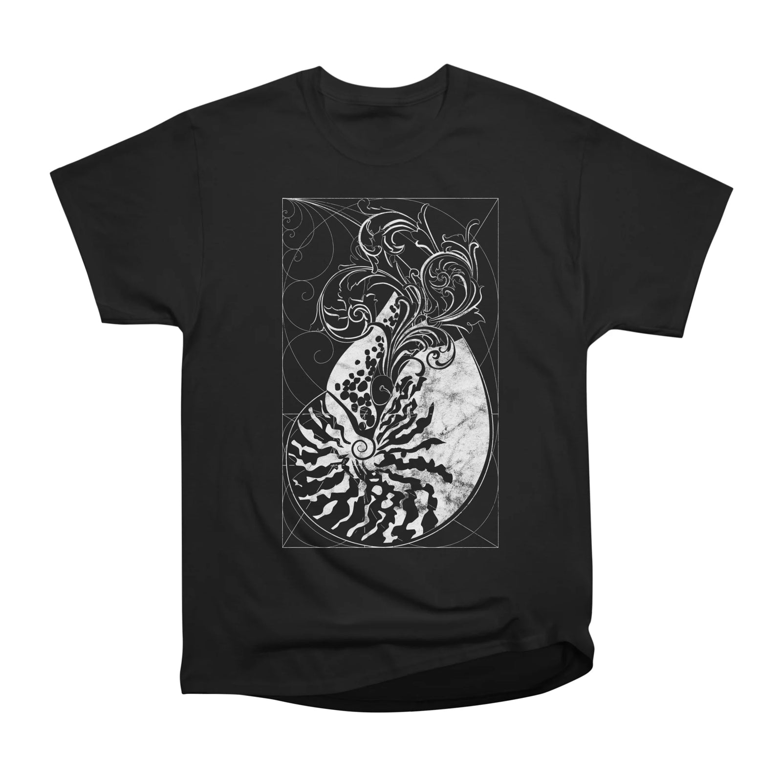 Nautilus