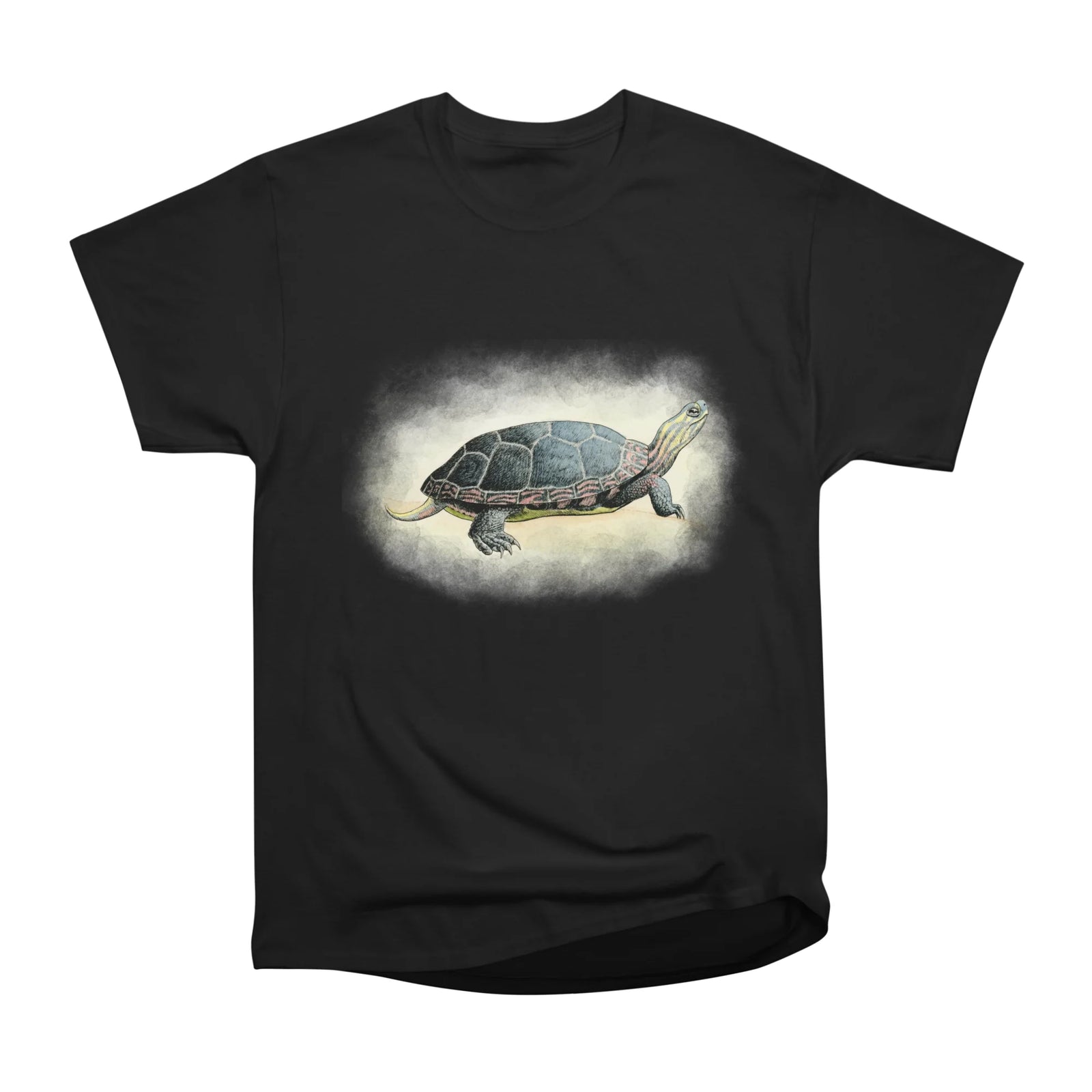 Painted Turtle