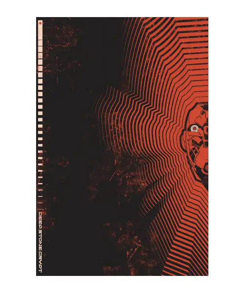 DSC Raid Poster