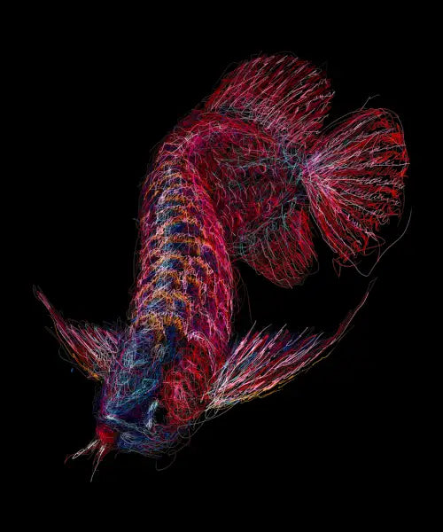 arapaima scribble art