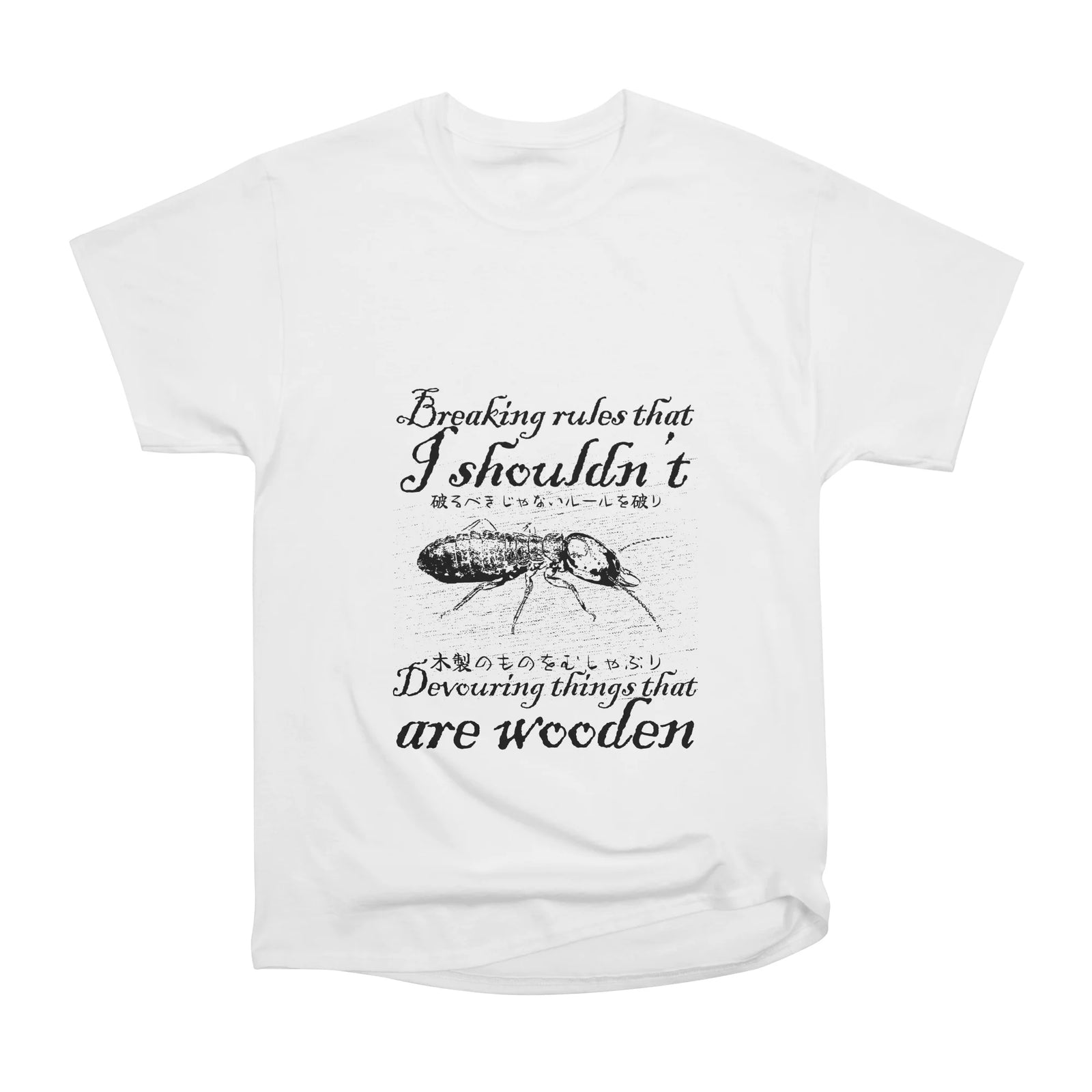 Breaking rules that I shouldn't Termite