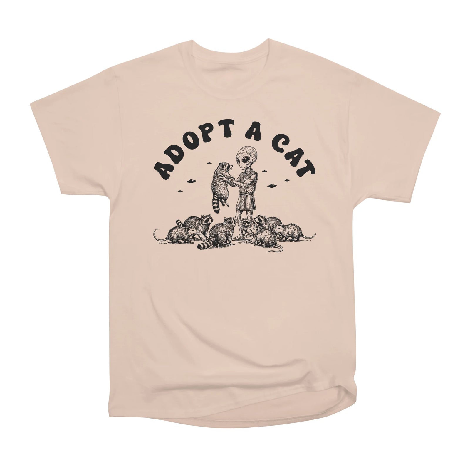 Adopt A Cat