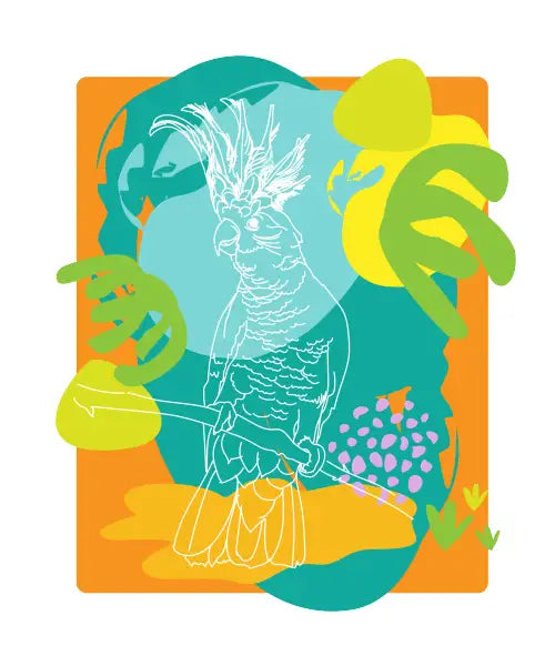 Cockatoo Dreaming