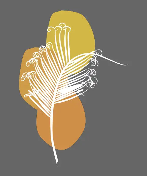 Cycad