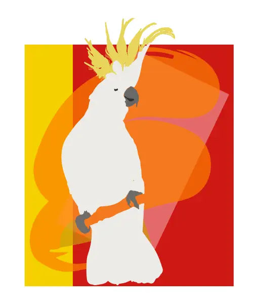 Fiery Cockatoo