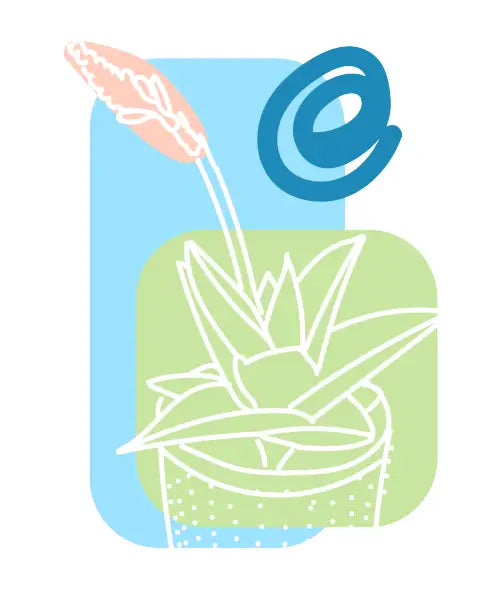 House Plant