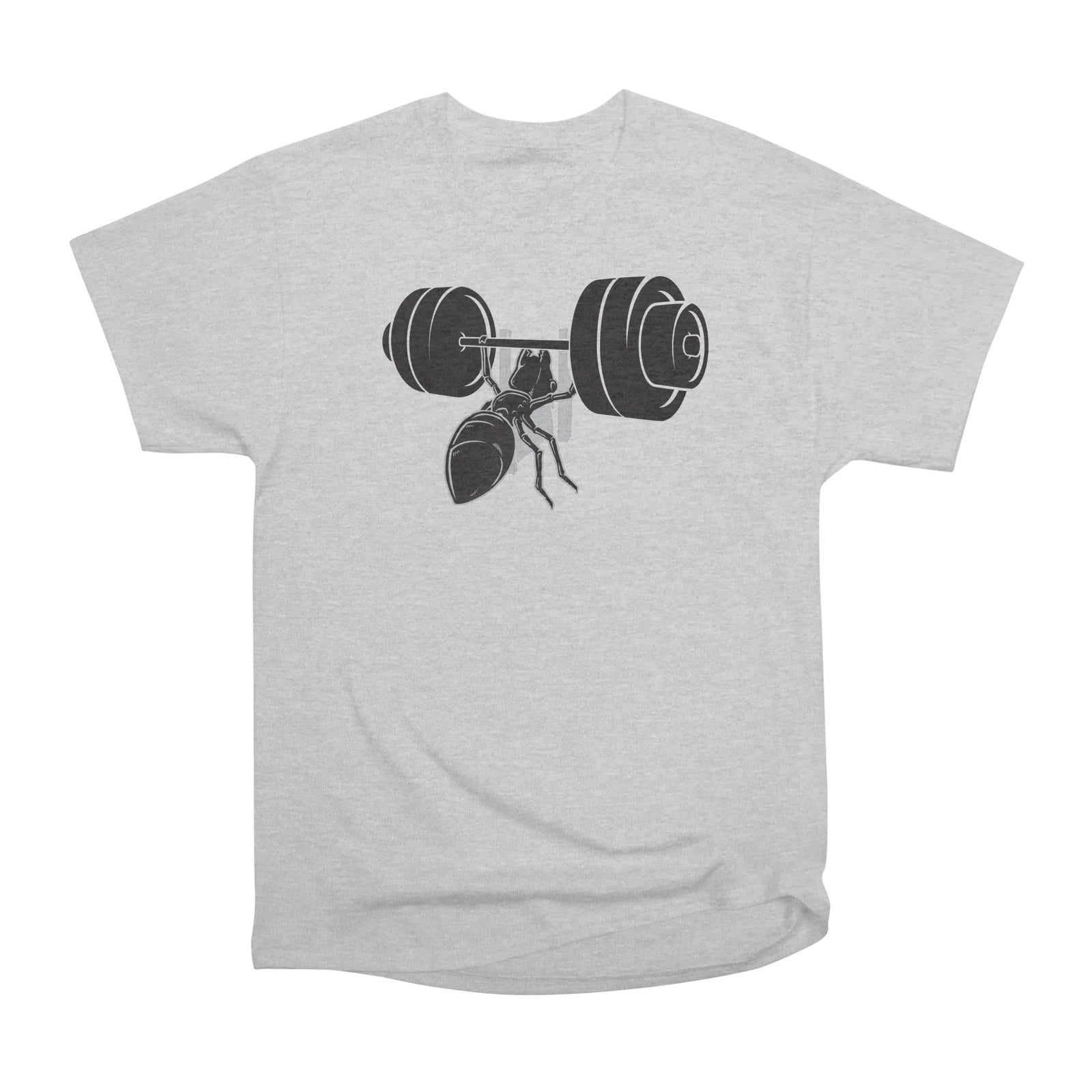 Ant Workout