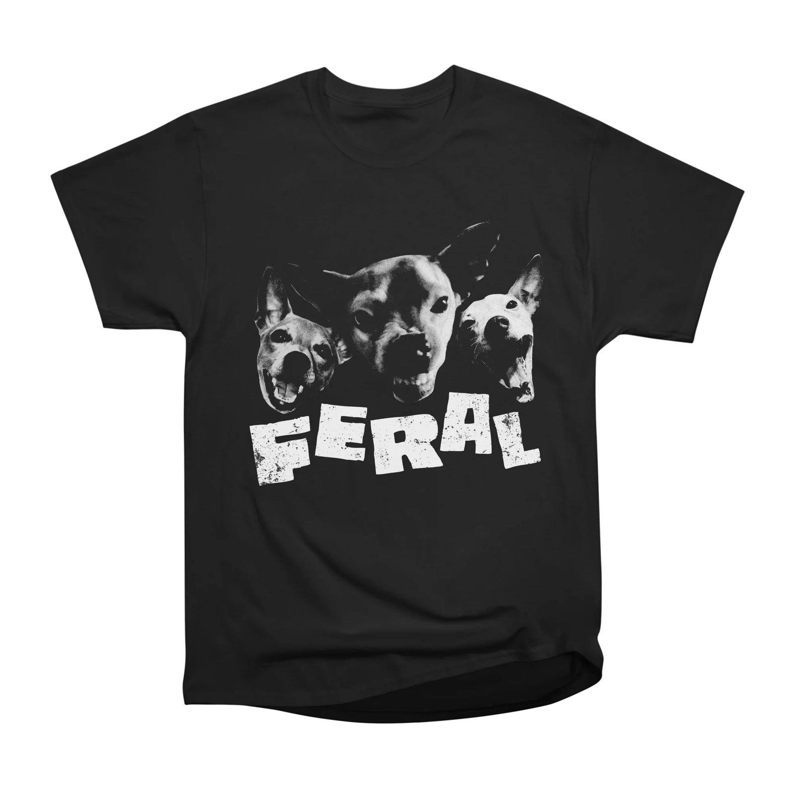 FERAL