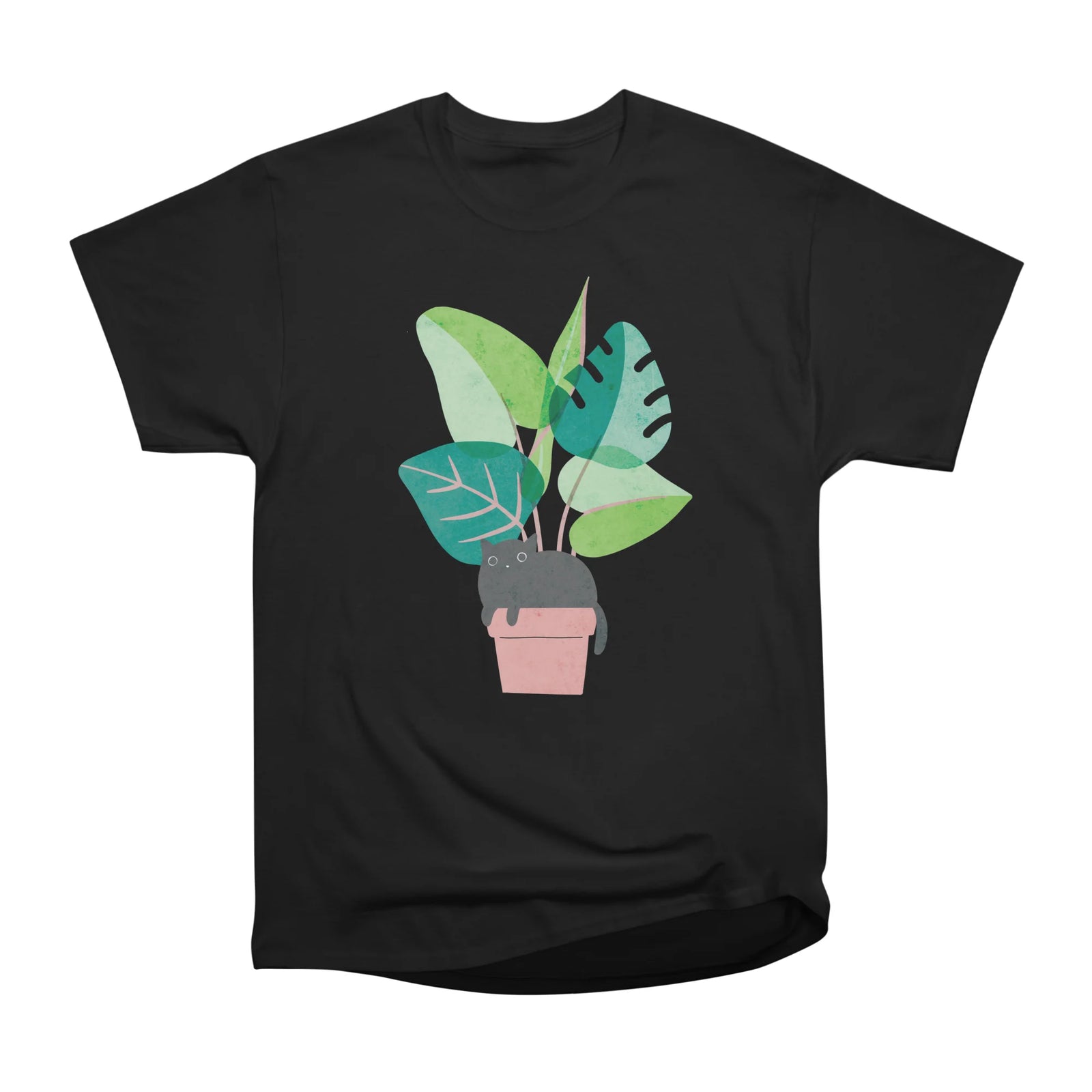 Monstera Cat