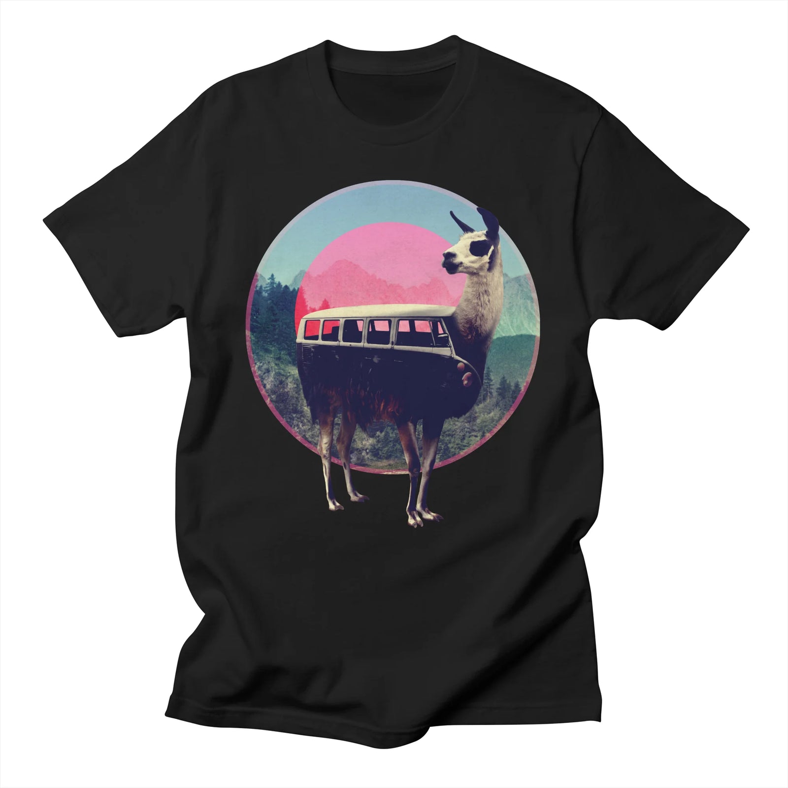 Llama