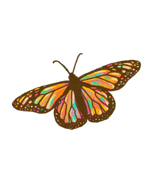 butterfly whimsy