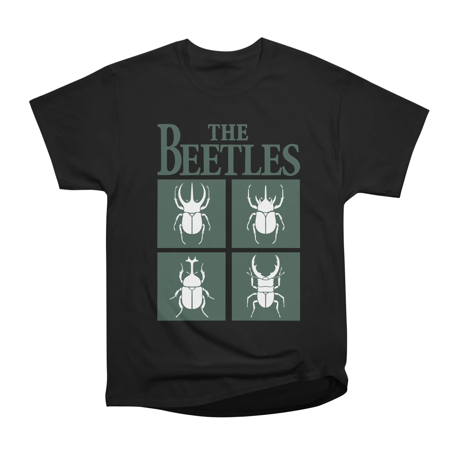 The beetles