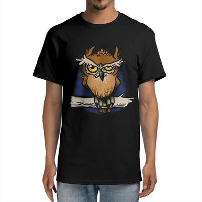 Grumpy Owl