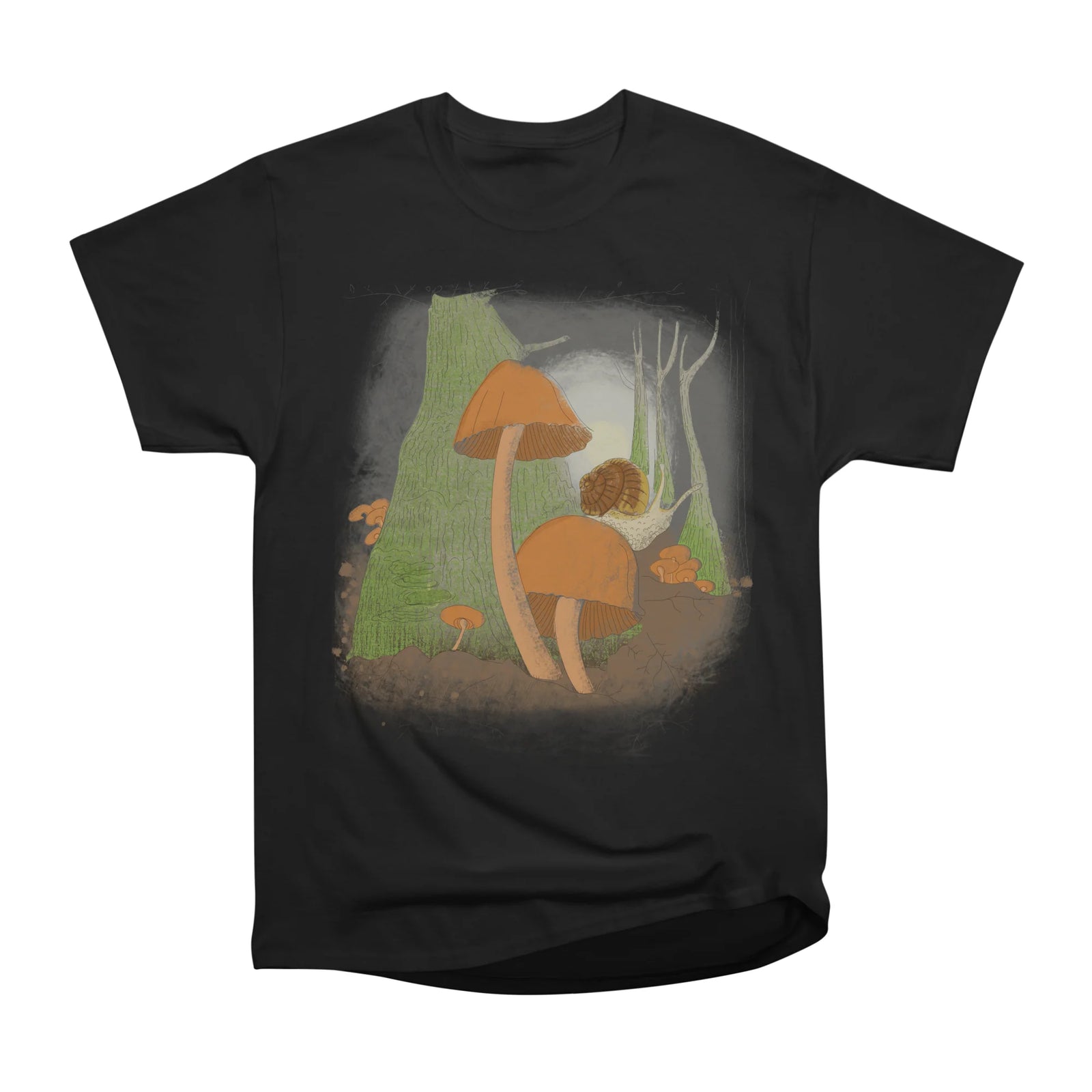 Mushrooms forest