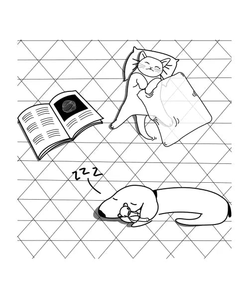 Sweet dreams
