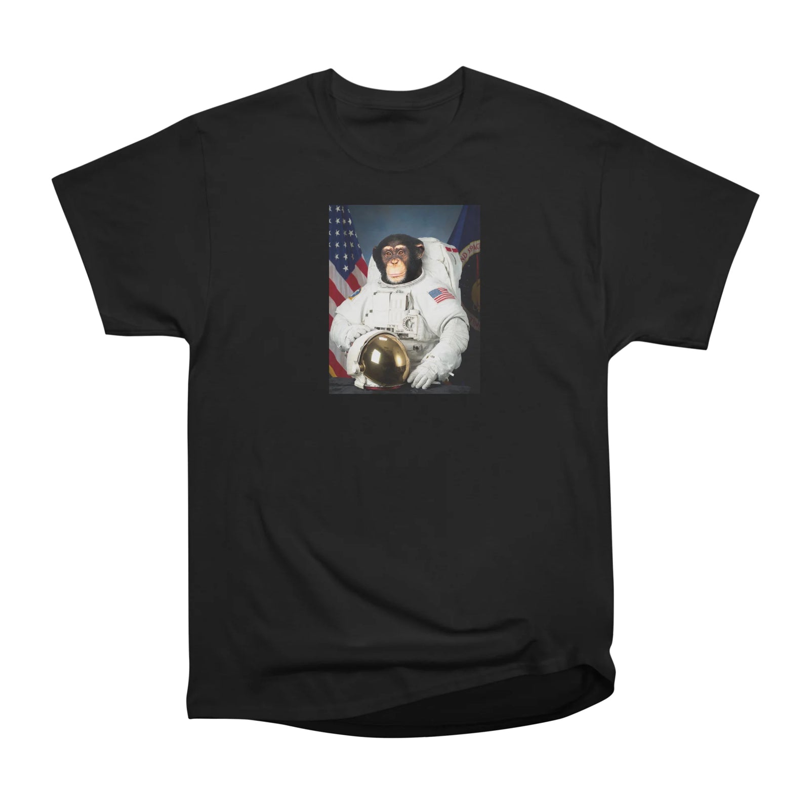 Space Chimp (Unbranded)
