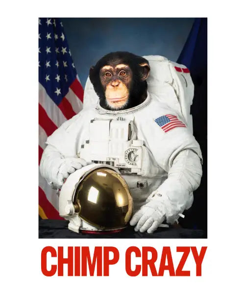 Space Chimp Crazy