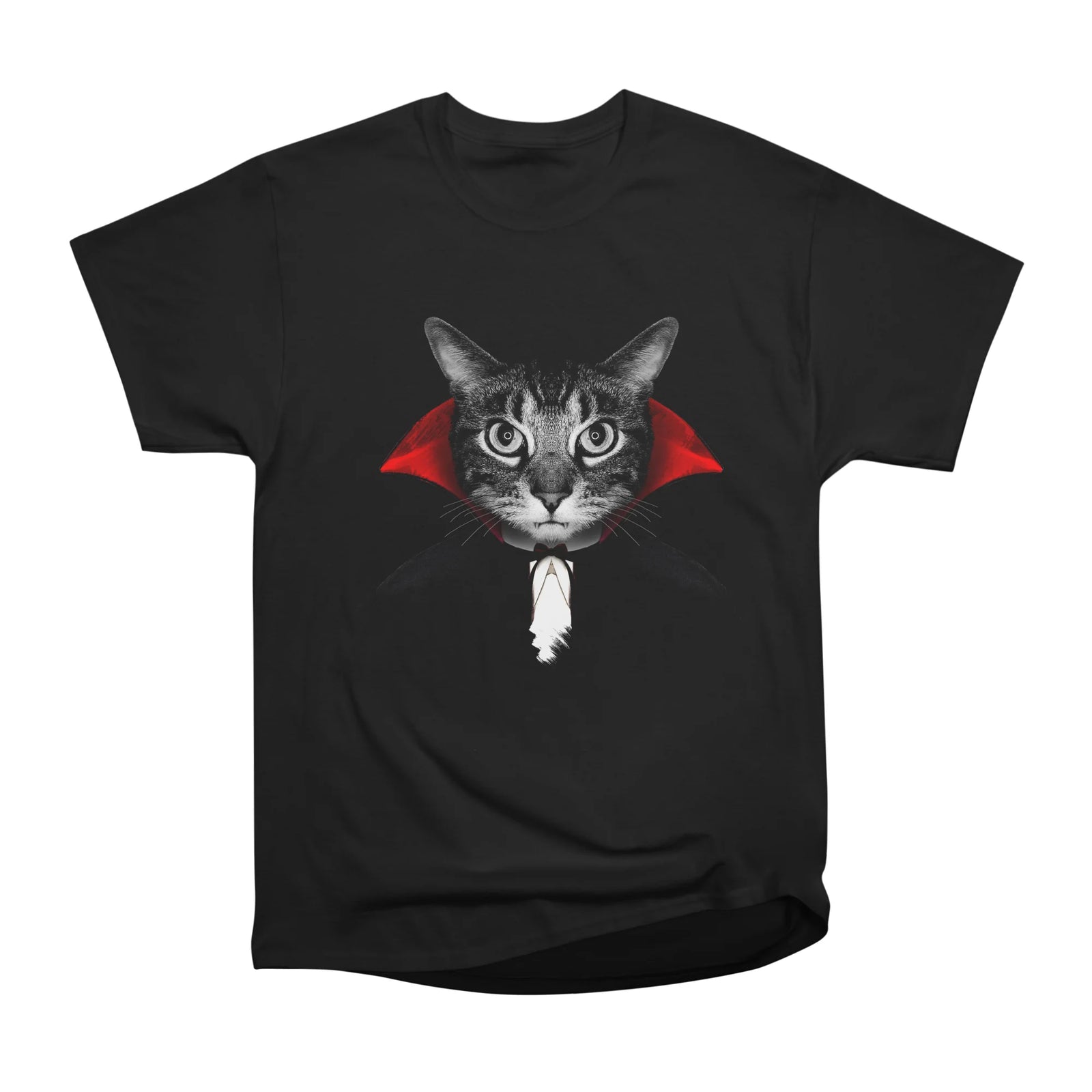 Vampire cat