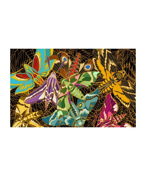 Hawk moths (dark)