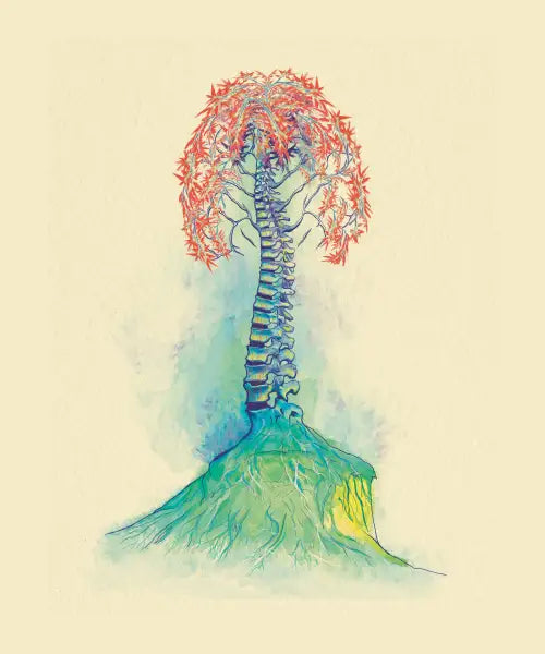 Spine Arbor