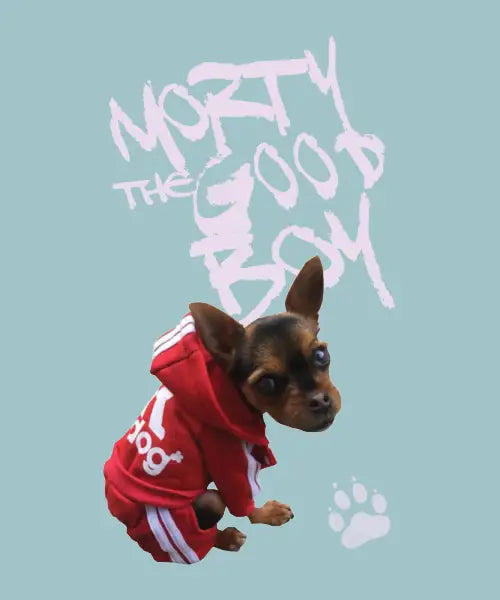 Morty the Good Boy