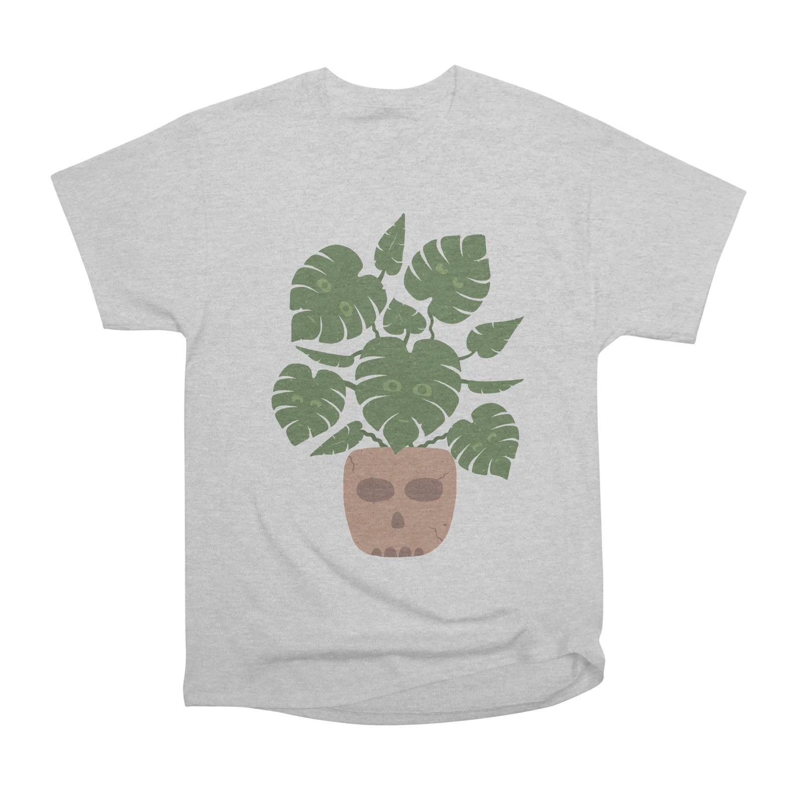 MONSTERA